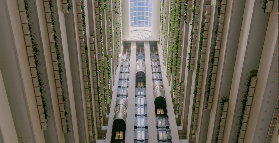 intercontinental brisbane 