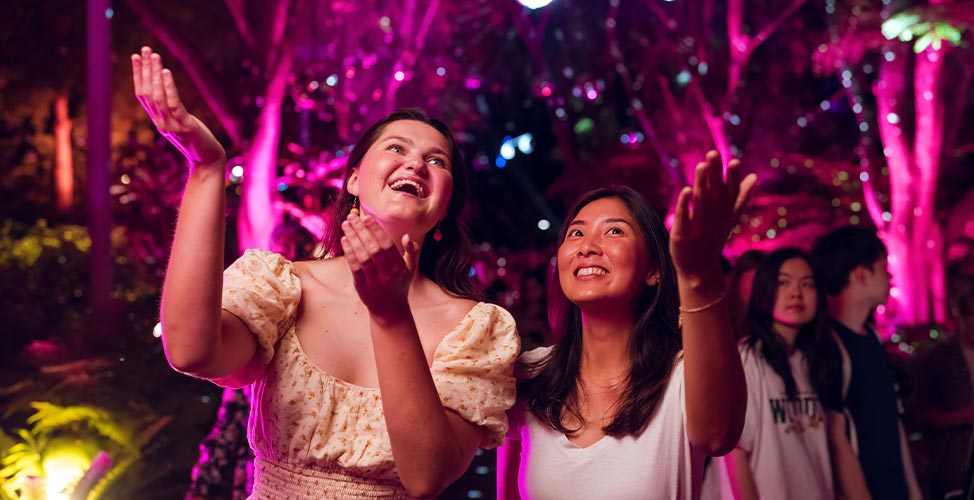 the enchanted garden