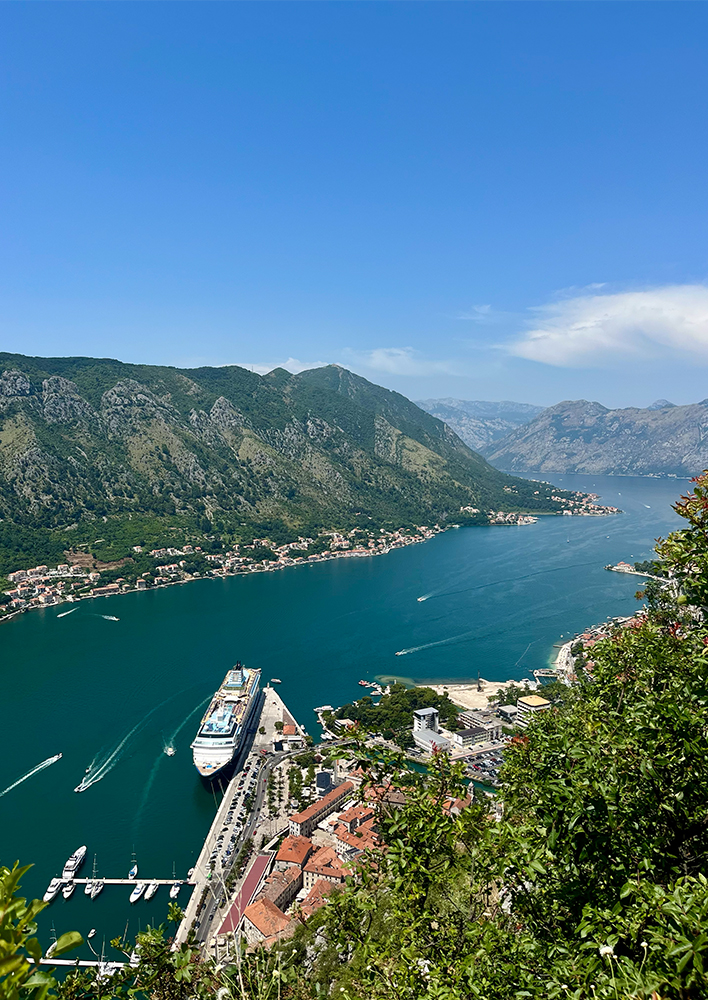 Kotor