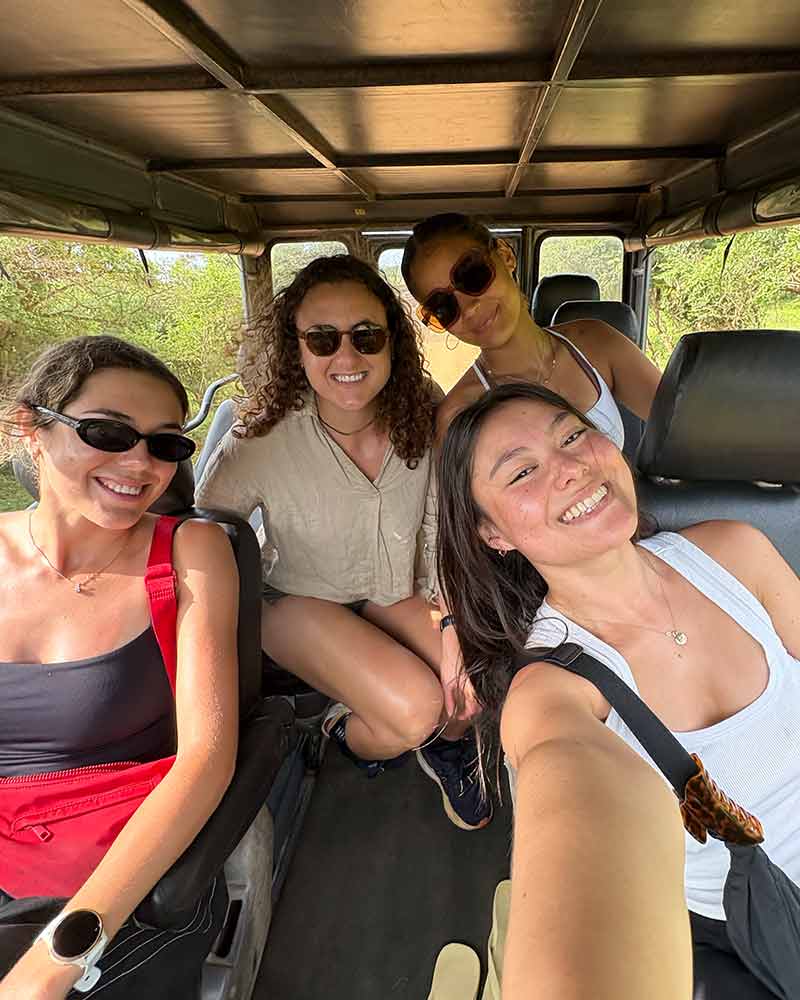 safari-10