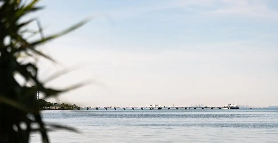 The Alfred by Rogerscorp