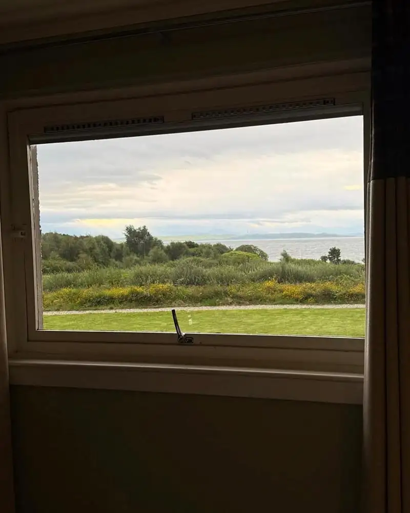 window-