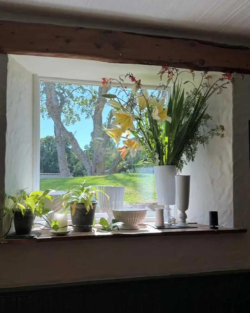 window