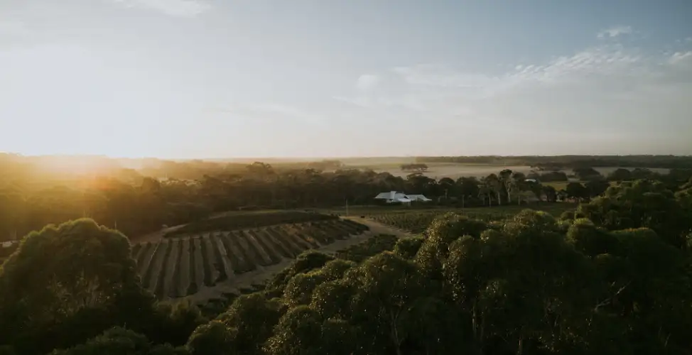 Vasse Felix