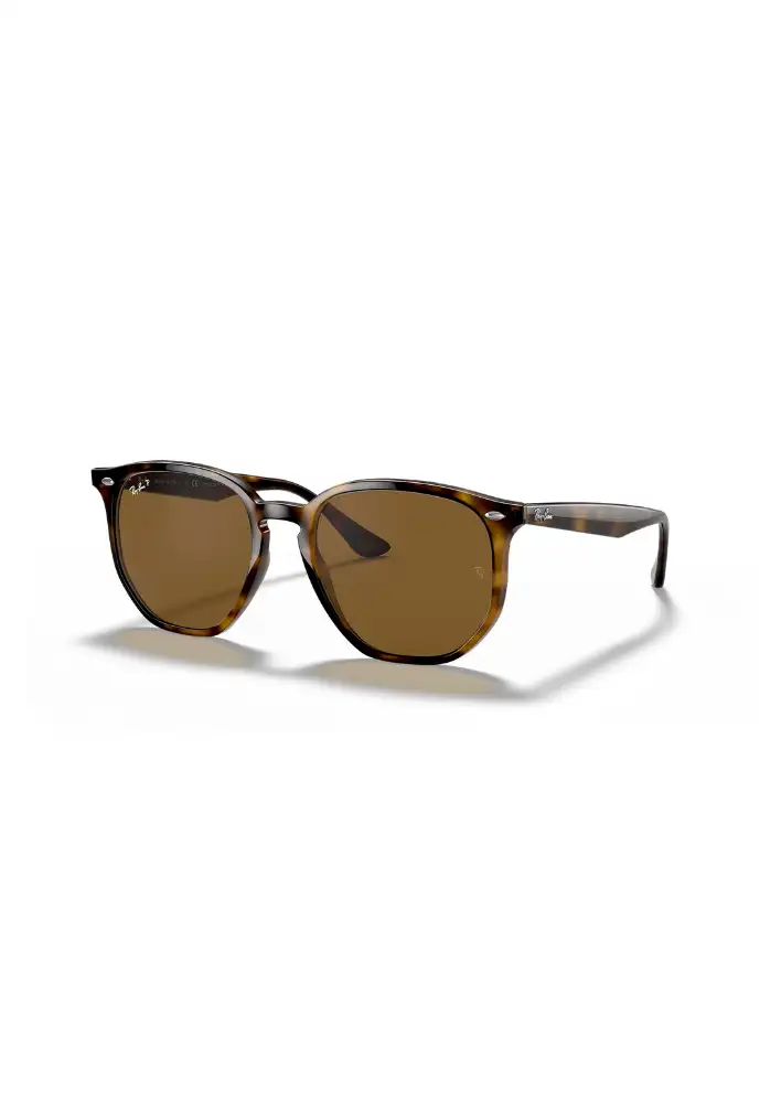 Sunglass Hut Ray-Ban RB4306 $289