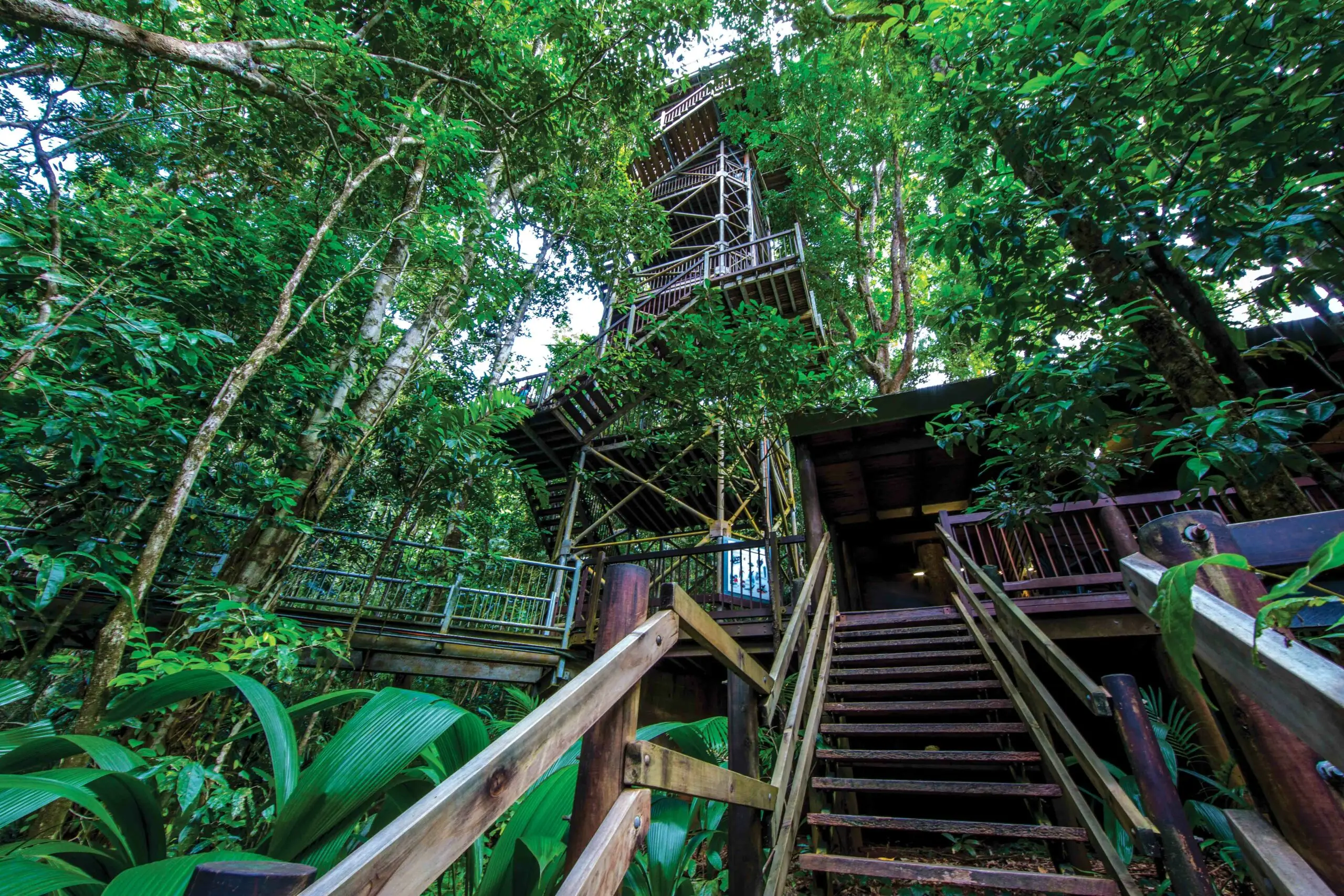 Daintree, port Douglas, travel North Queensland, travel port Douglas, guide to port Douglas, port Douglas guide, North Queensland, travel Queensland