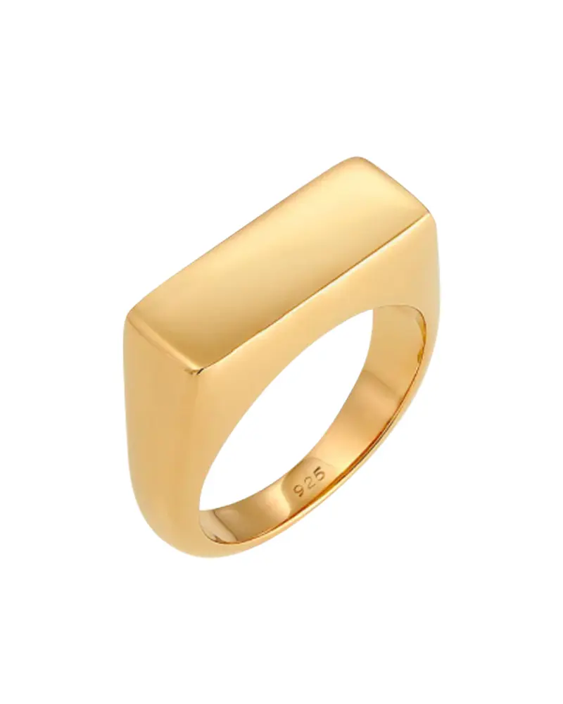 The-Iconic-Elli-Jewelry-Rectangle-Signet-Ring-99.90