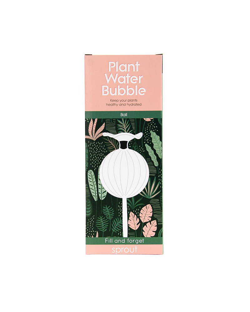 11_Annabel-Trends-Plant-Water-Bubble-19.95