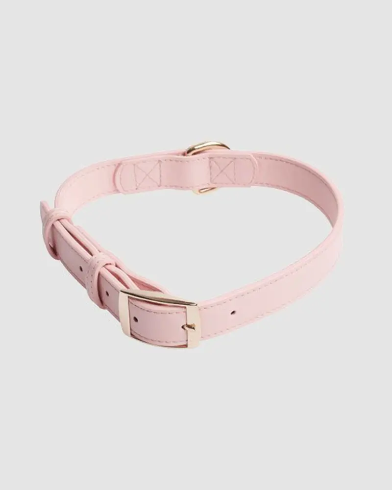 PSA: Zara Have Launched A Pet Accessories Collection