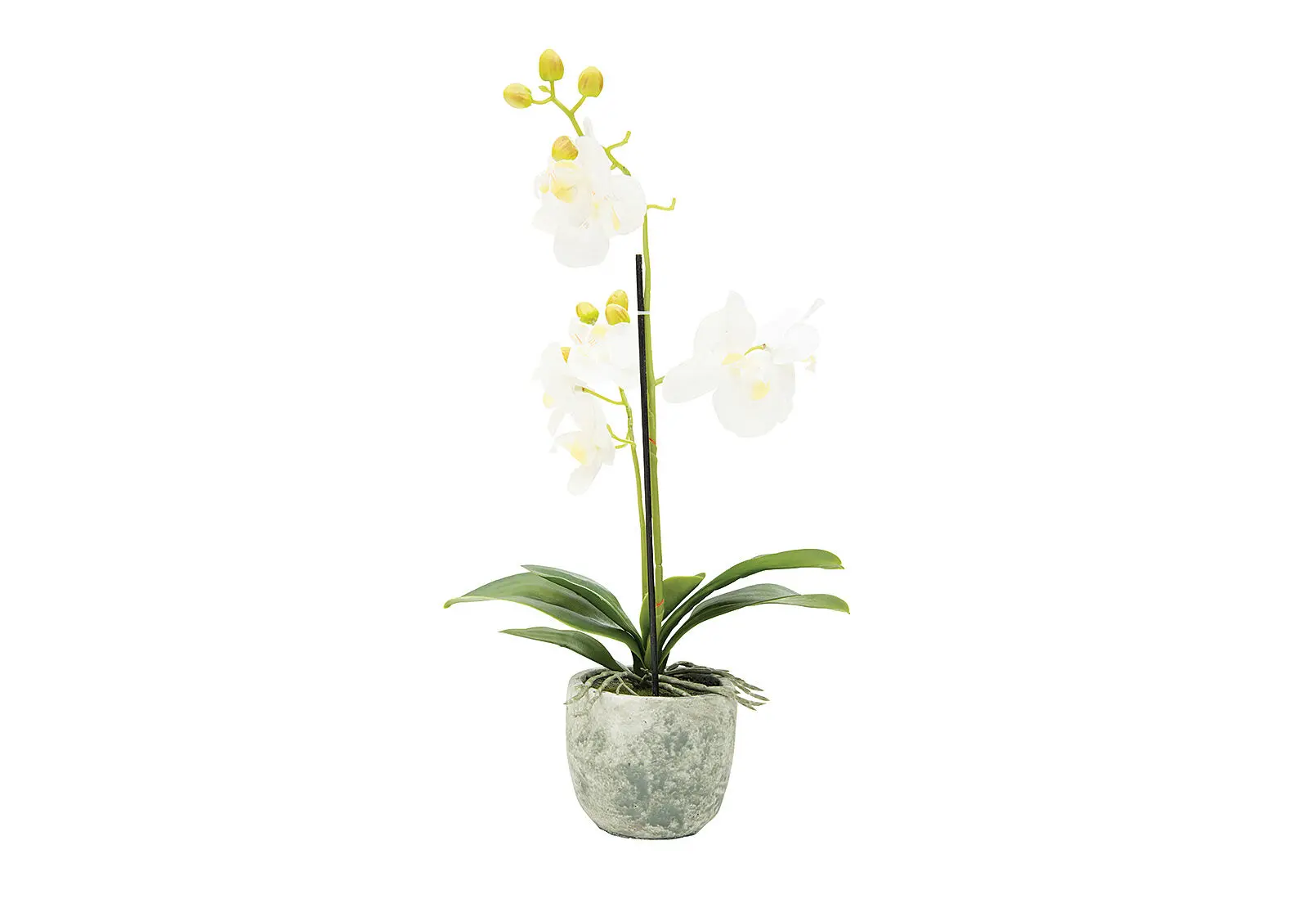 White-Orchid-Atificial-Orchid-29