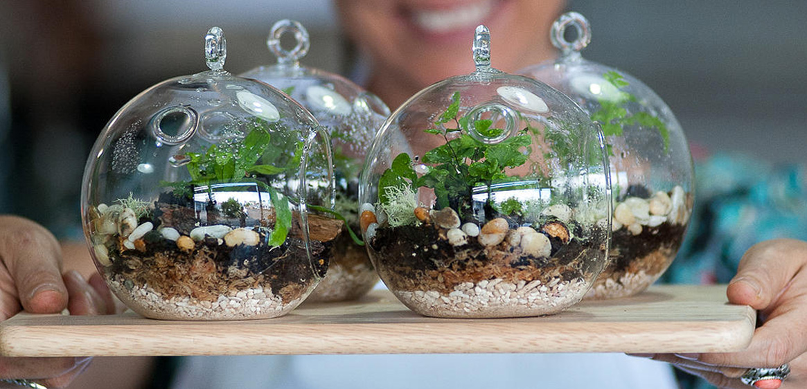 The best Brisbane terrariums Lifestyle Style Magazines
