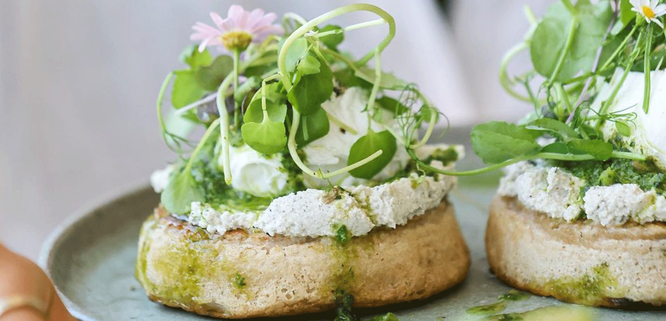 The Sunshine Coast And Noosa s Best Breakfasts the-sunshine-coast-and-noosa-s-best-breakfasts