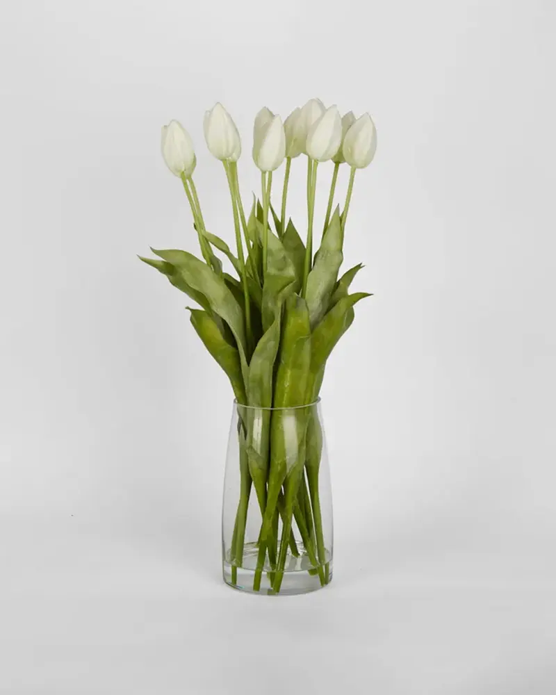 Tulip