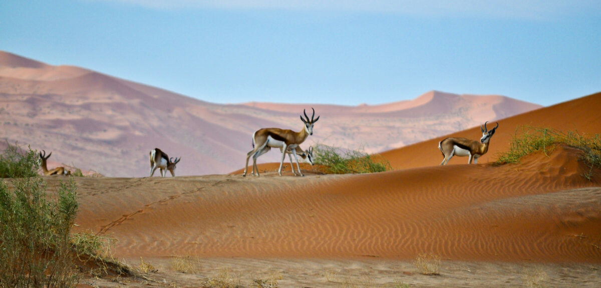 Namibia