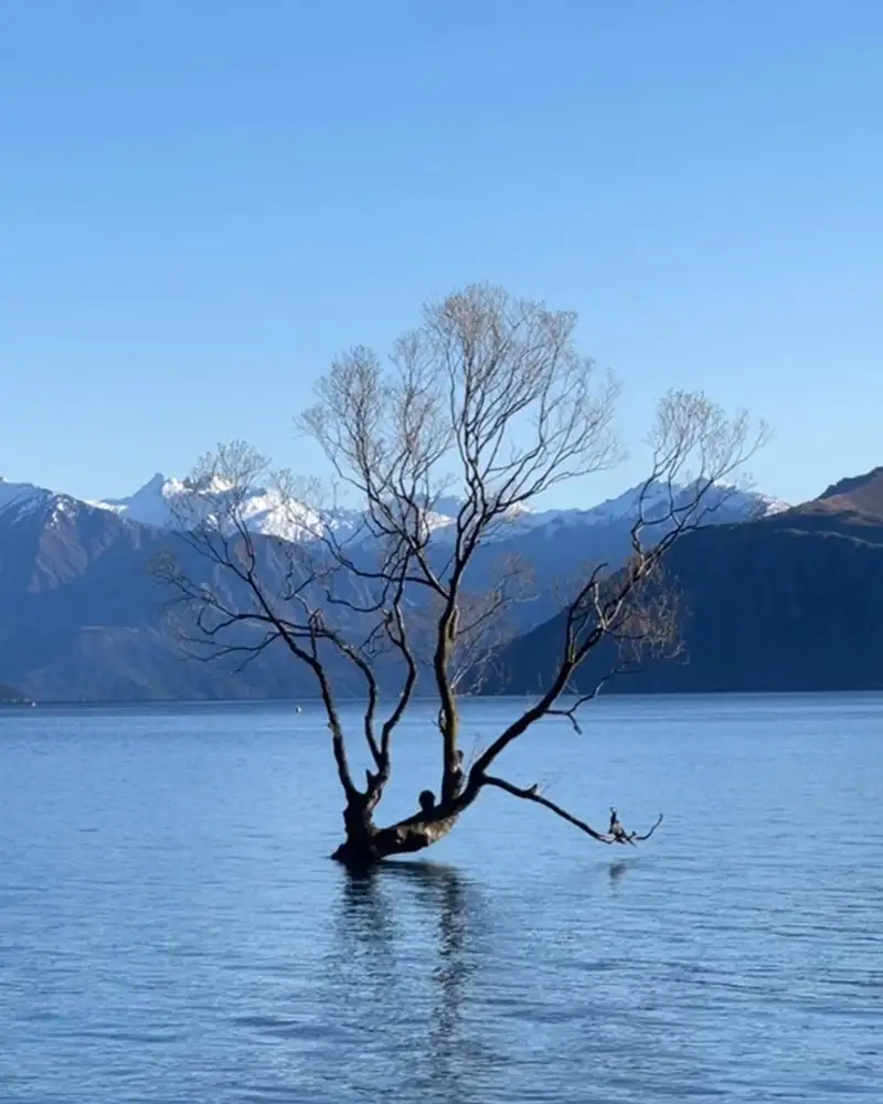 Wanaka-2